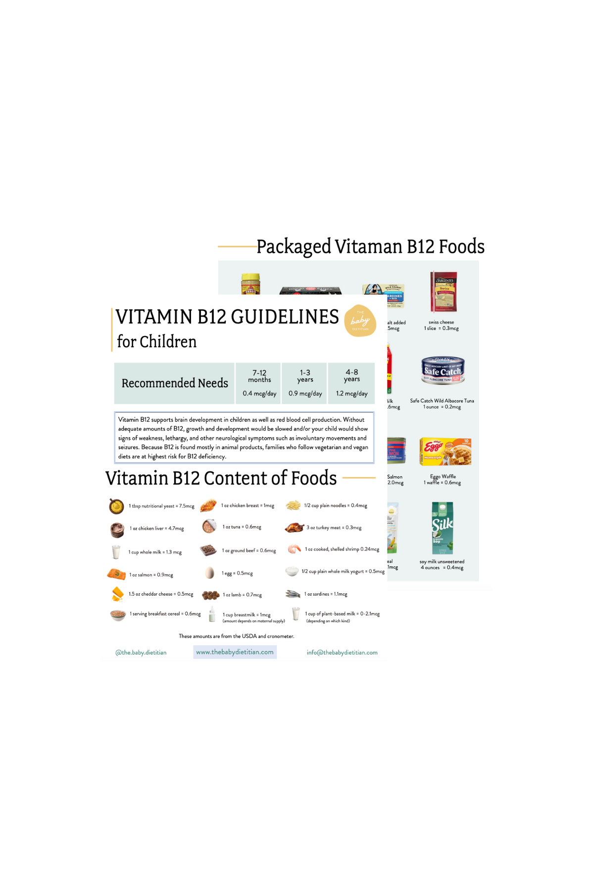 Vitamin B12 Guidelines for Children